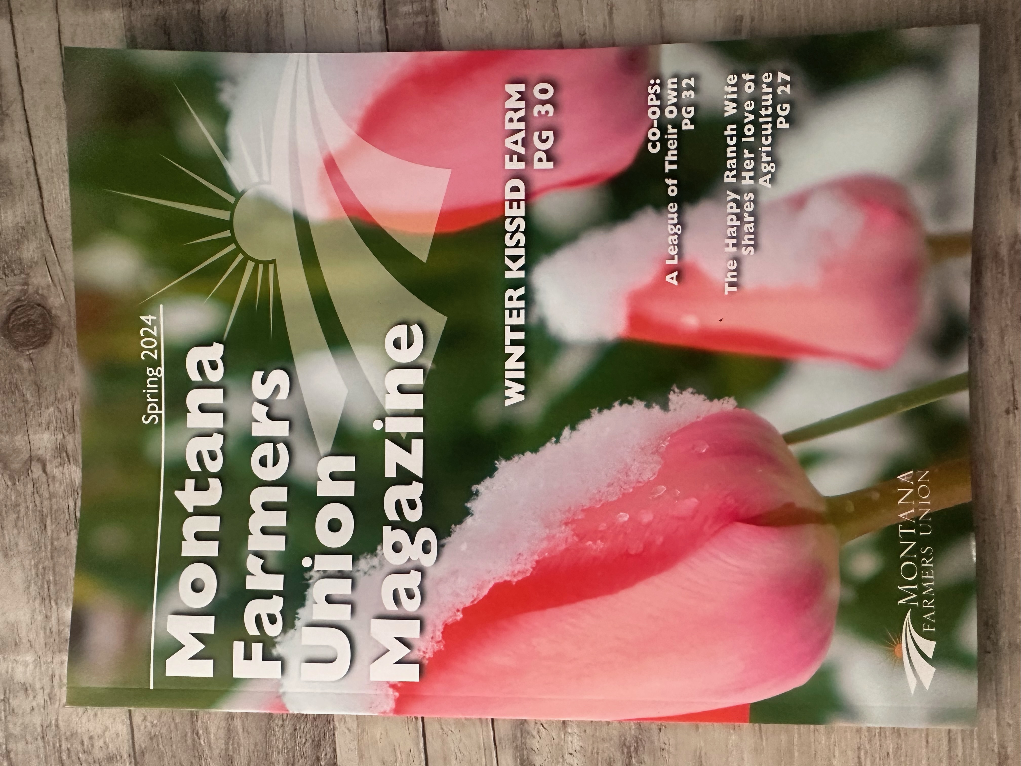 MFU Magazine Spring Volume 4 cover