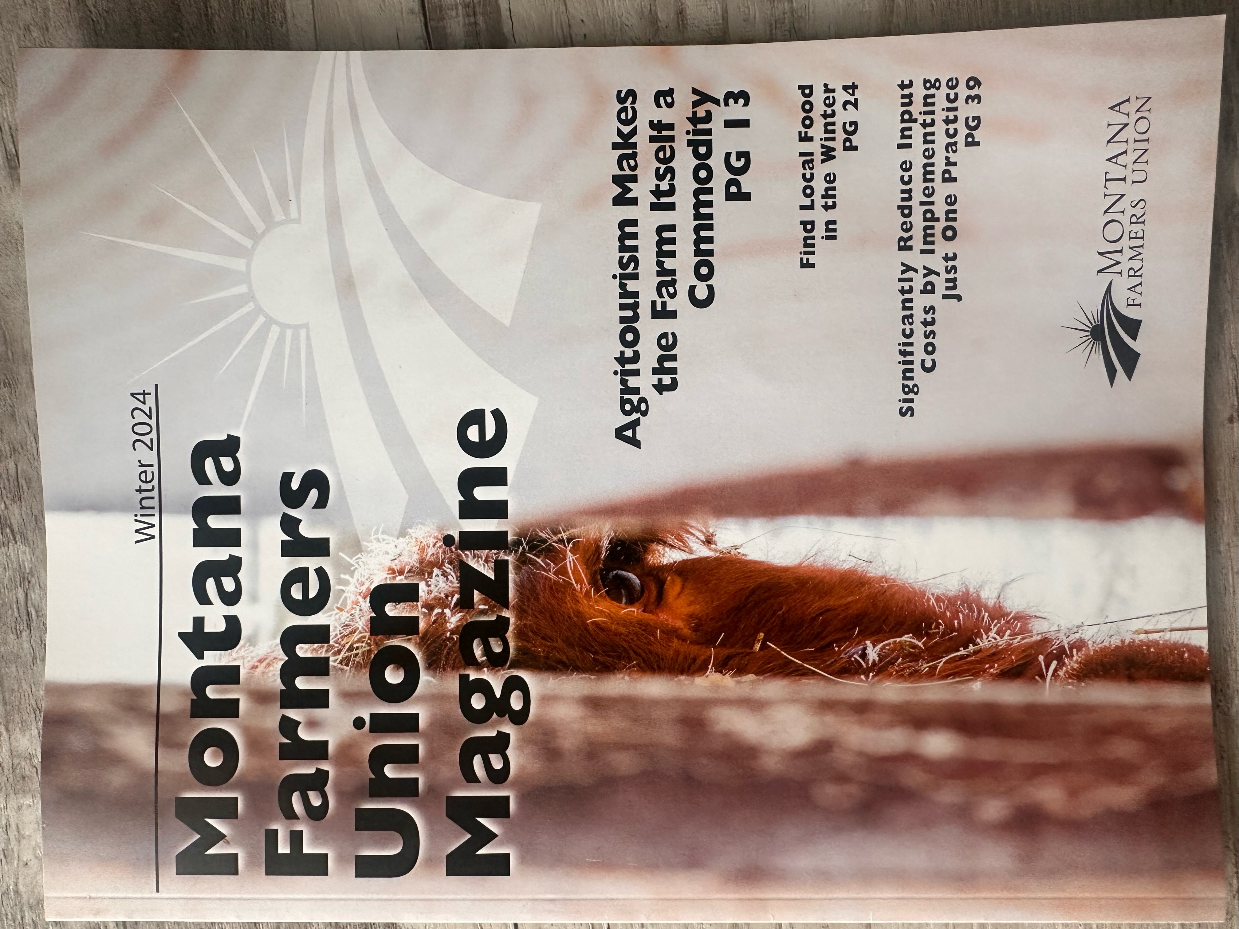 MFU Magazine Winter Volume 3 cover