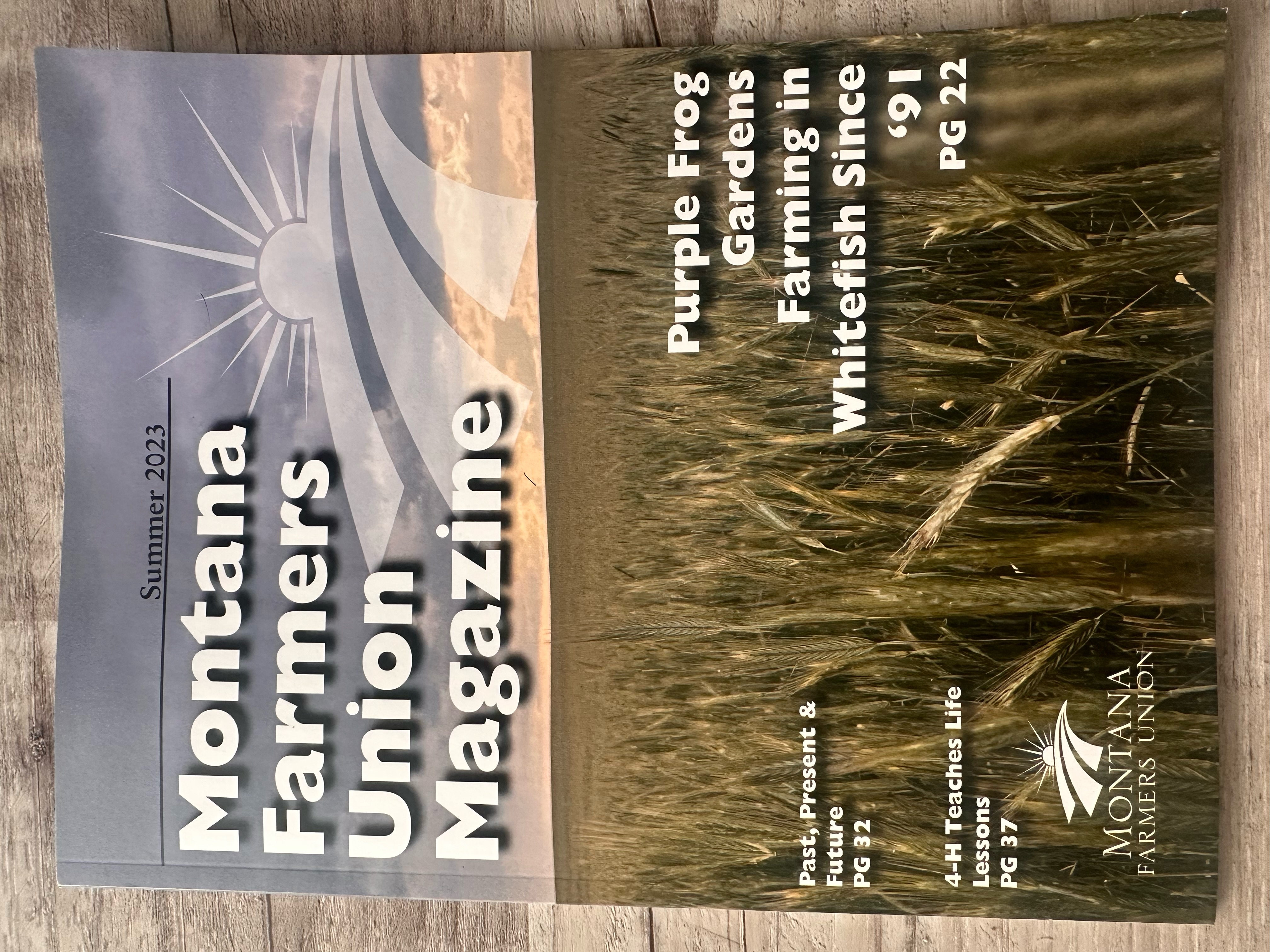 MFU Magazine Summer Volume 1 cover
