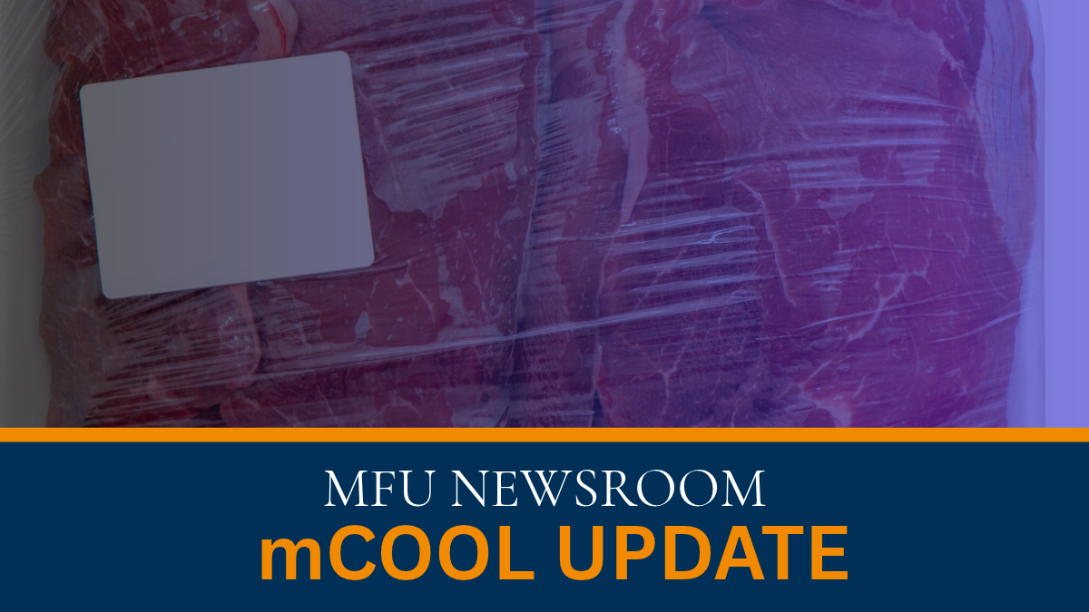 mCool Update for News