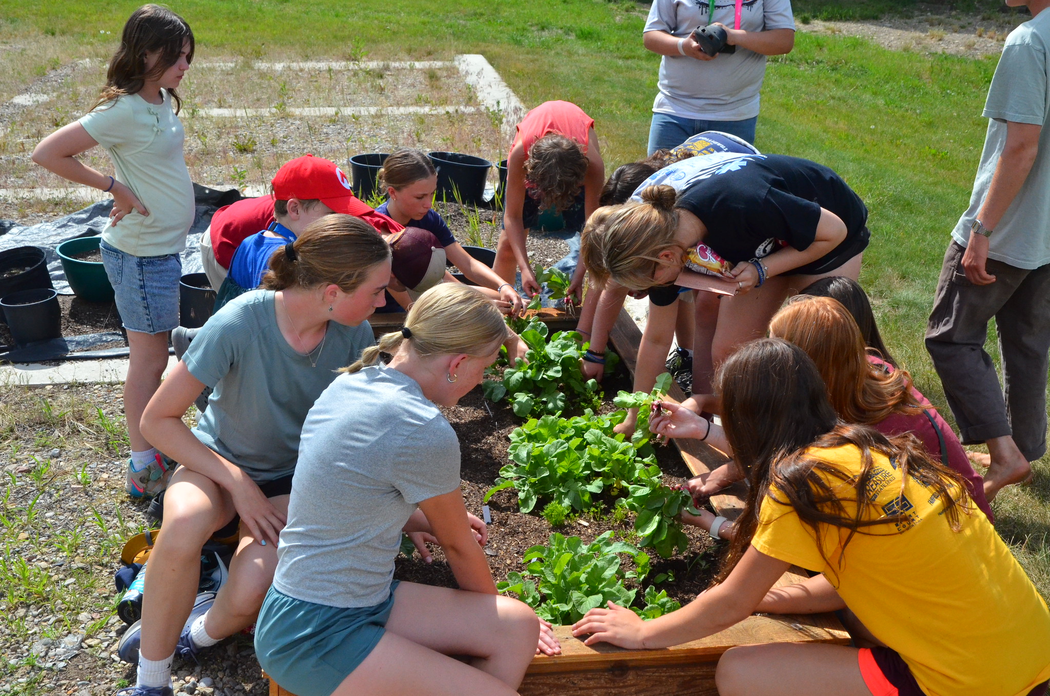 MFU youth learning about gardening and agriculture
